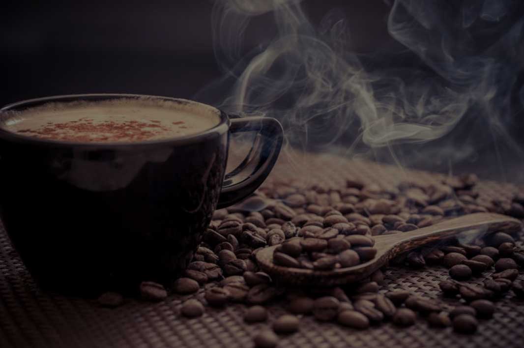 تكاليف الدراسة والمعيشة في أستراليا: دليل شامل للطلاب الدوليين